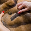 Restyling, custodia, riparazione di pellicce e capi in pelle